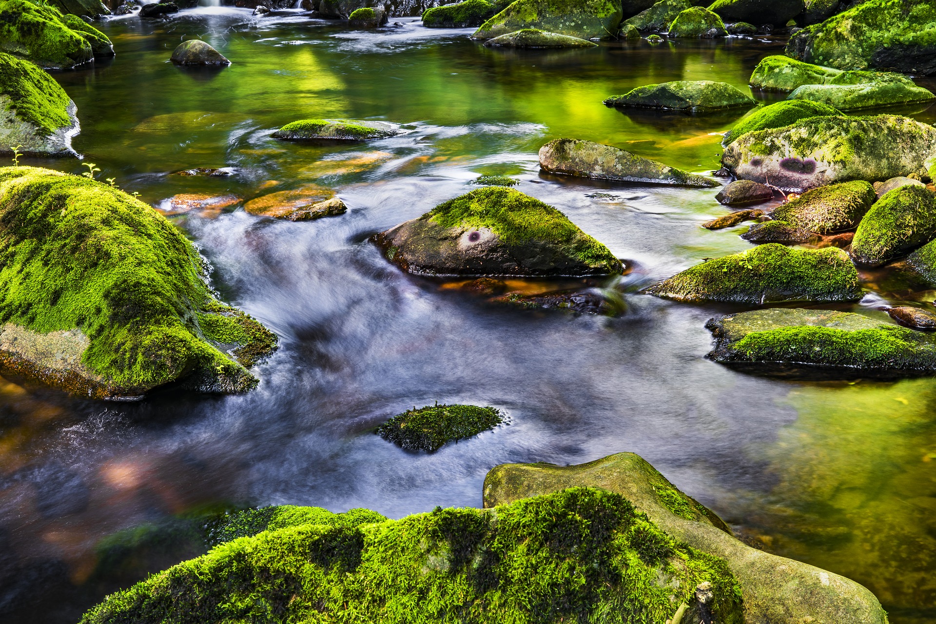 Rivière de la vie